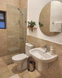 Ash ShumaysānīにあるGoga Apartment in Jabal Amman near Rainbow Streetのトイレ、洗面台、鏡のあるバスルーム