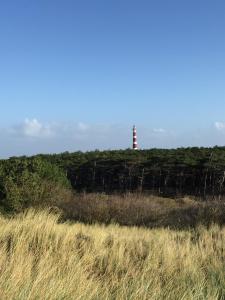 un phare au sommet d'une colline avec un champ dans l'établissement Amelander Kaap Appartement 112, à Hollum