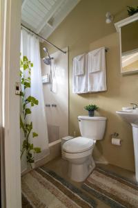 曼米湾Drax Hall-Near Ocho Rios-King Bed-Pool-BBQ Grill-Gated Complex-Free Parking-Free Wifi 100Mbps的配有马桶、淋浴和水槽的浴室