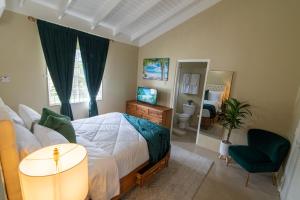 曼米湾Drax Hall-Near Ocho Rios-King Bed-Pool-BBQ Grill-Gated Complex-Free Parking-Free Wifi 100Mbps的带一张大床和一面镜子的卧室 更多15张照片