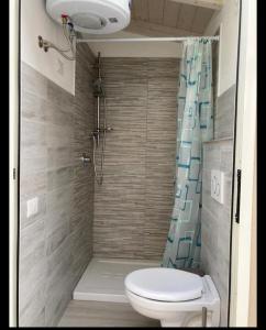 un piccolo bagno con wc e doccia di Wellhouse a SantʼAntìoco Altre 5 foto