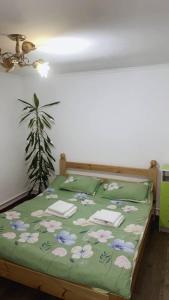 Rozalinda Guesthouse客房内的一张或多张床位