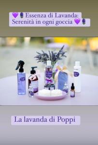 Fotografie z fotogalerie ubytování La lavanda di Poppi-mini appartamento v destinaci Poppi