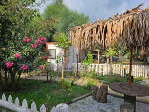 Κήπος έξω από το Camping Ulisse Calabria