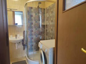 a bathroom with a shower and a toilet and a sink at DOM NAD JEZIOREM KUŹNIa in Łąkie