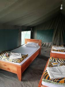 two beds in a room with a tent at Sadanga & Sons Mobile Camp Safaris in Mugumu