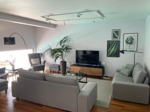 ein Wohnzimmer mit zwei Sofas und einem Flachbildfernseher in der Unterkunft Oliveira House in Ponta Delgada