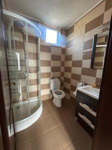 a bathroom with a toilet and a shower and a sink at Transilvania Guesthouse in Miercurea Sibiului +9 photos