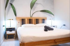 Foto dalla galleria di Nest Boqueron a Betances