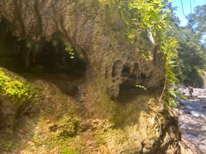 Tatil evi yakınında doğal manzara