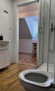 un bagno con doccia, WC e lavandino di Mieszkanie Wieloosobowe a Wilków