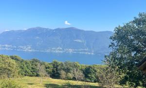 Blick auf einen See mit Bergen im Hintergrund in der Unterkunft Rustico Corte in Brissago