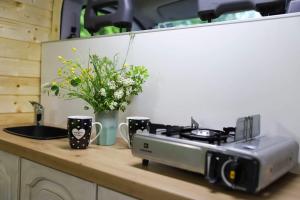 Una cocina o cocineta en Van2Go Ducato