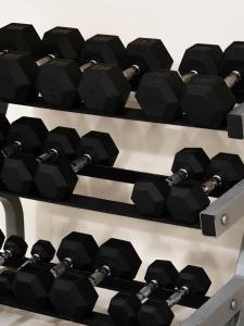 Fitness centrum a/nebo fitness zařízení v ubytování Memphis Vitality Hotel