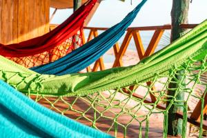 Gallery image of the mompe beach hostal in La Poza +67 photos