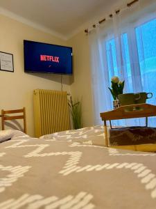 TV a/nebo společenská místnost v ubytování Gästehaus Anna Top 2