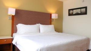 Postel nebo postele na pokoji v ubytování Holiday Inn Orizaba by IHG