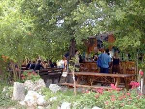 a group of people sitting at a picnic table in a park at Bayrams Tree Houses in Olympos