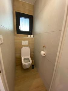a small bathroom with a toilet and a window at Les Rochers du lac in Cessenaz +13 photos