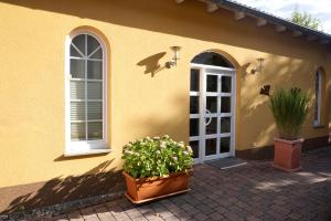 a yellow house with two windows and two potted plants at Barbaras Felsenlodge in Dahn