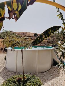 wanna z hydromasażem na pustyni z palmą w obiekcie Glamping Finca el Olivo w mieście Mijas