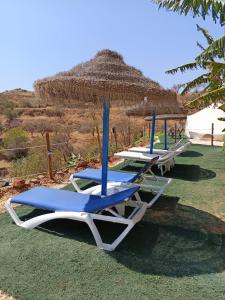 dwa niebiesko-białe fotele siedzące na trawie w obiekcie Glamping Finca el Olivo w mieście Mijas