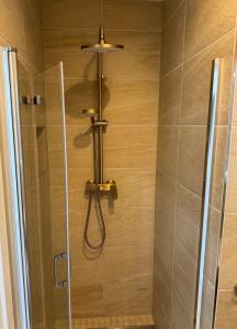 una doccia con soffione in un bagno di FeWo Meeresblick SPO a Sankt Peter-Ording