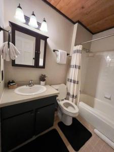 Un baño con lavabo, inodoro y ducha. en Condo Adjacent Nordic Ski, Fireplace & Indoor Pool, en Big Sky Meadow Village
