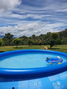 a blue pool of water with a dog in a field at Beautiful Country House in Loja
