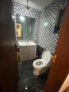 a bathroom with a toilet and a sink and a mirror at HOME DEALS appartment in Darwāla