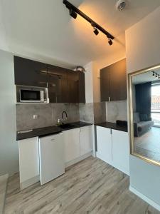 Kuchyňa alebo kuchynka v ubytovaní Pice Apart A115
