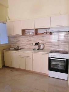 Η κουζίνα ή μικρή κουζίνα στο Alex Apartment