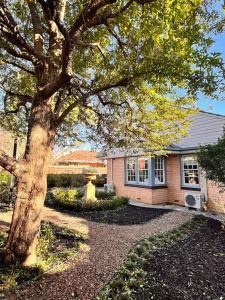 a house with a tree in front of it at Sunny Retro Home Burnside area in Rose Park