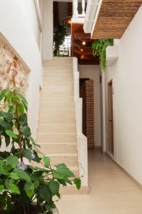 Φωτογραφία από το άλμπουμ του Casa Helena Hostel σε Cartagena de Indias