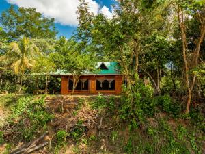 a house in the middle of the forest at Coco house tambopata in Puerto Maldonado