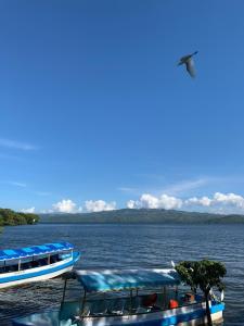 Příroda nedaleko hotelu