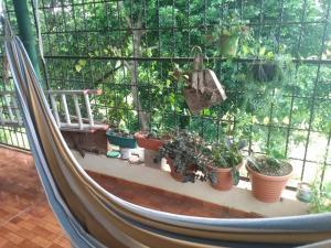 Μπαλκόνι ή βεράντα στο Casa de Douglas