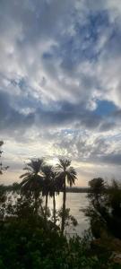 a group of palm trees next to a body of water at Villa Rose - Luxor in Luxor +21 photos