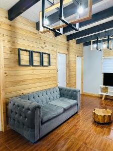 un divano in un soggiorno con parete in legno di Cabañas Aires de Huerquehue a Panguipulli