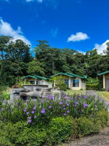 Zahrada ubytování Arenal Roca Suites