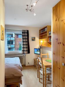 TV a/nebo společenská místnost v ubytování Haus Cresta - Zermatt Paradise- Swiss Alps