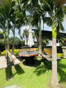 Φωτογραφία από το άλμπουμ του Cattleya tropical σε Quimbaya +107 φωτογραφίες