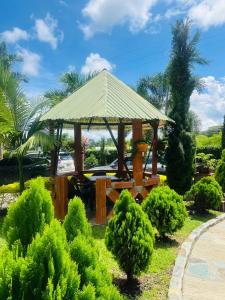 Φωτογραφία από το άλμπουμ του Cattleya tropical σε Quimbaya