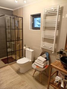 a bathroom with a toilet and a glass shower at Casa Vis Bran in Bran +24 photos