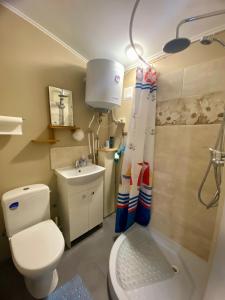 a bathroom with a toilet and a shower and a sink at Bezvējš in Jūrmala