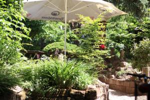 an umbrella in the middle of a garden at Kreilingshöfchen Apartments in Bad Vilbel