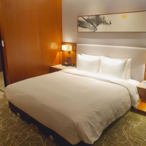 Hotel Skypark Central Seoul Pangyo房間的床