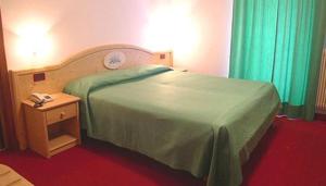Voodi või voodid majutusasutuse Hotel Tosa toas