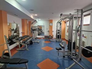 Fitness centrum a/nebo fitness zařízení v ubytování Danube Hotel & Spa