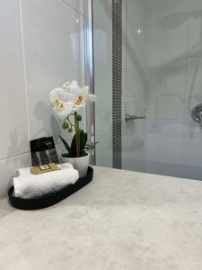 a white flower sitting on a counter in a bathroom at Redvue Holiday Apartments in Redcliffe